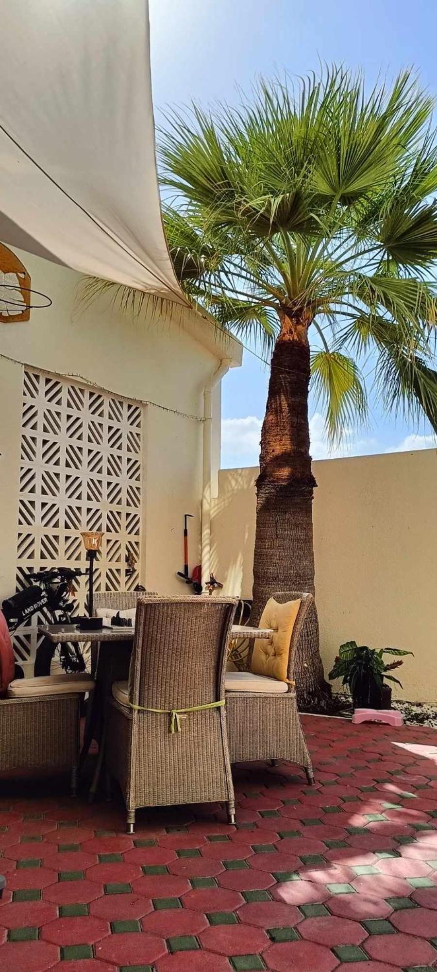 Jumeirah Apartment